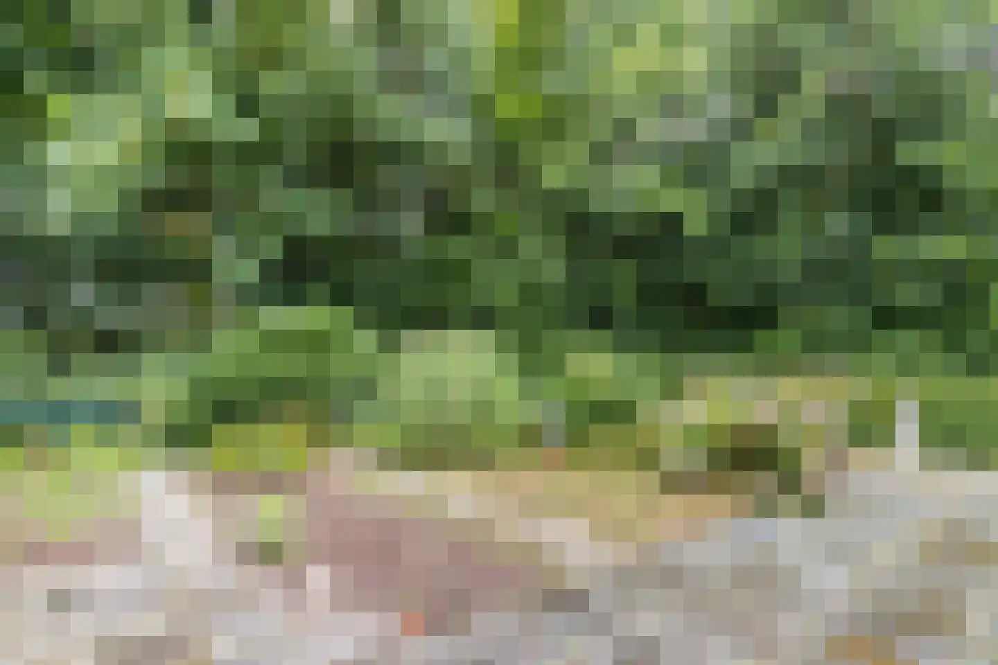 Het Zichtbord 2 Swifterbant thumbnail 43
