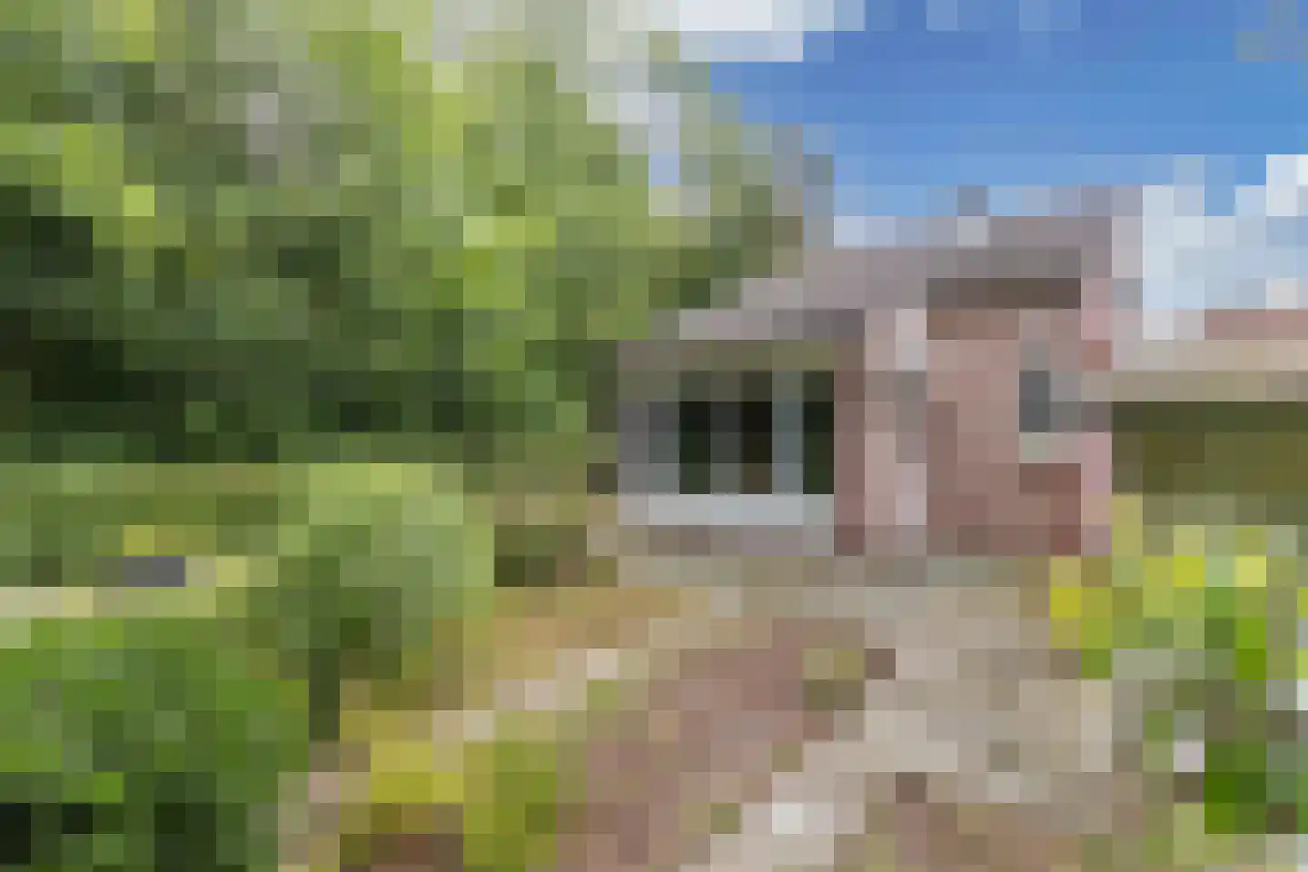 Het Zichtbord 2 Swifterbant thumbnail 46