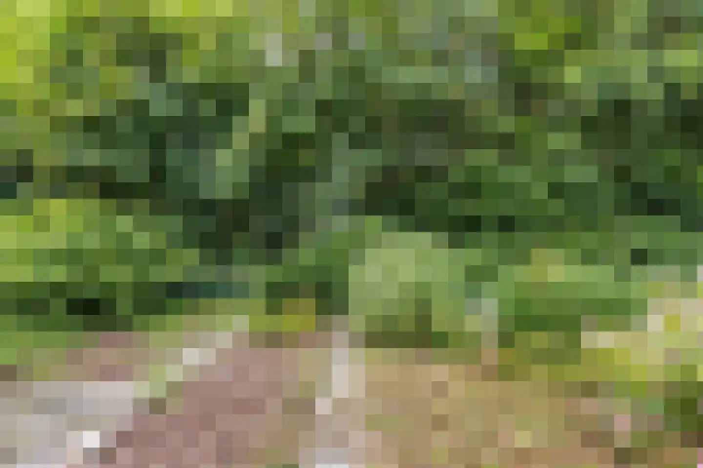 Het Zichtbord 2 Swifterbant thumbnail 48