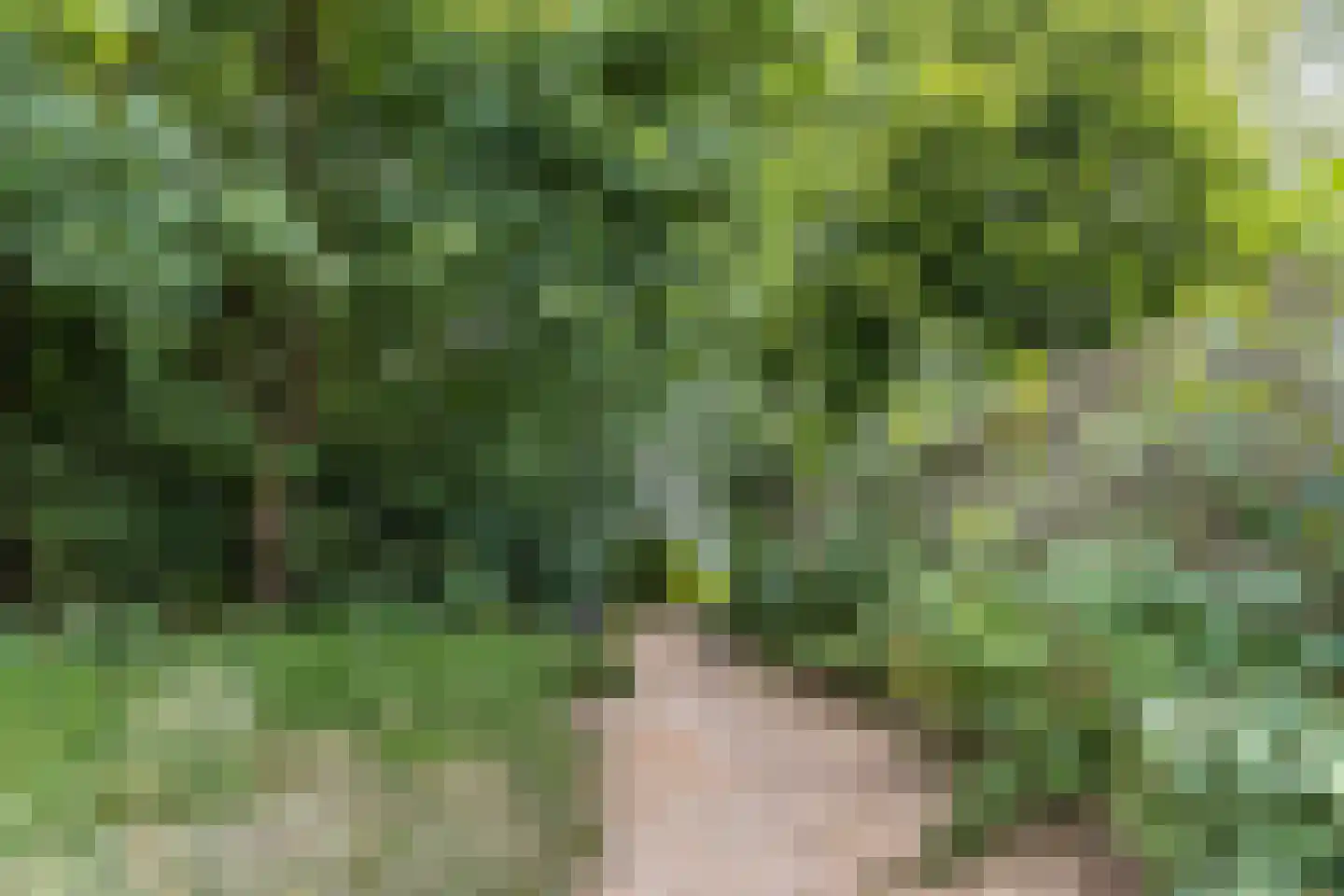 Het Zichtbord 2 Swifterbant thumbnail 49