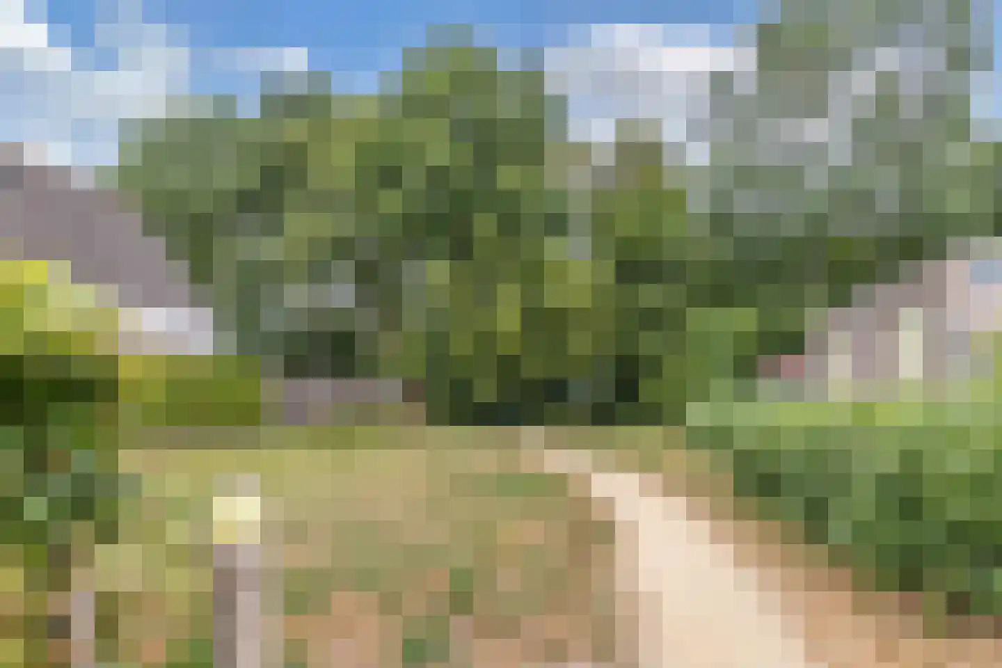 Het Zichtbord 2 Swifterbant thumbnail 50