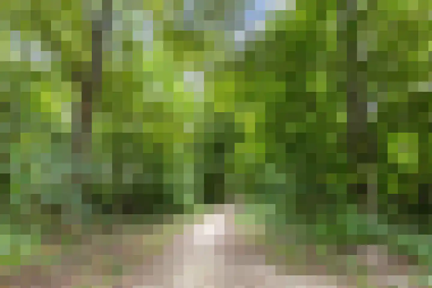 Het Zichtbord 2 Swifterbant thumbnail 51