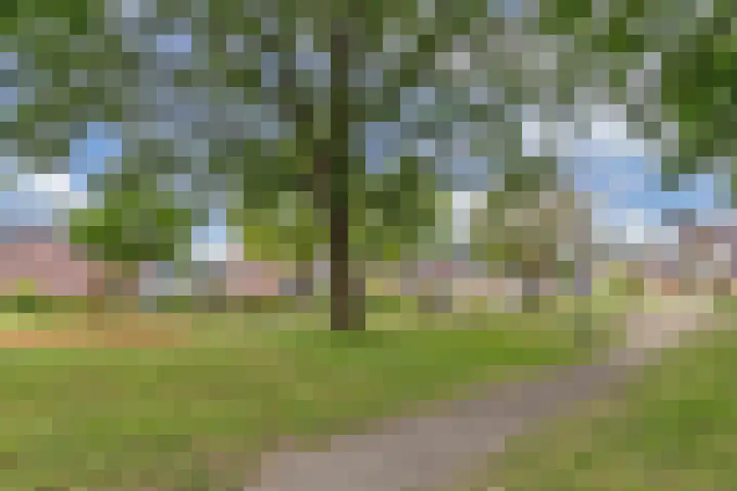 Het Zichtbord 2 Swifterbant thumbnail 52