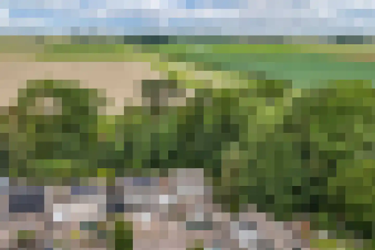 Het Zichtbord 2 Swifterbant thumbnail 9