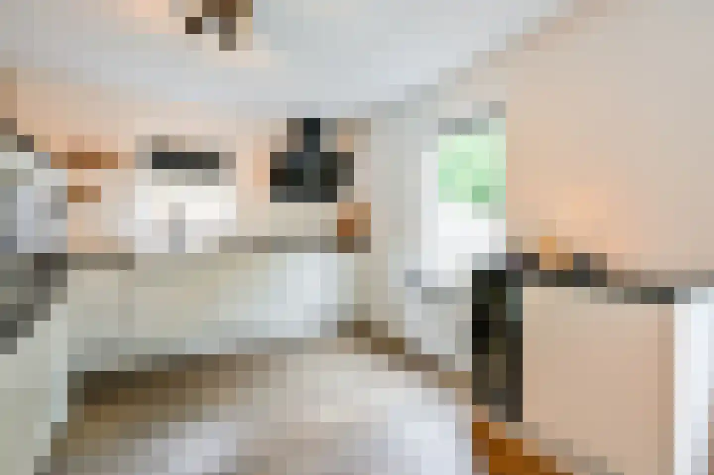 Het Zichtbord 20 Swifterbant thumbnail 12