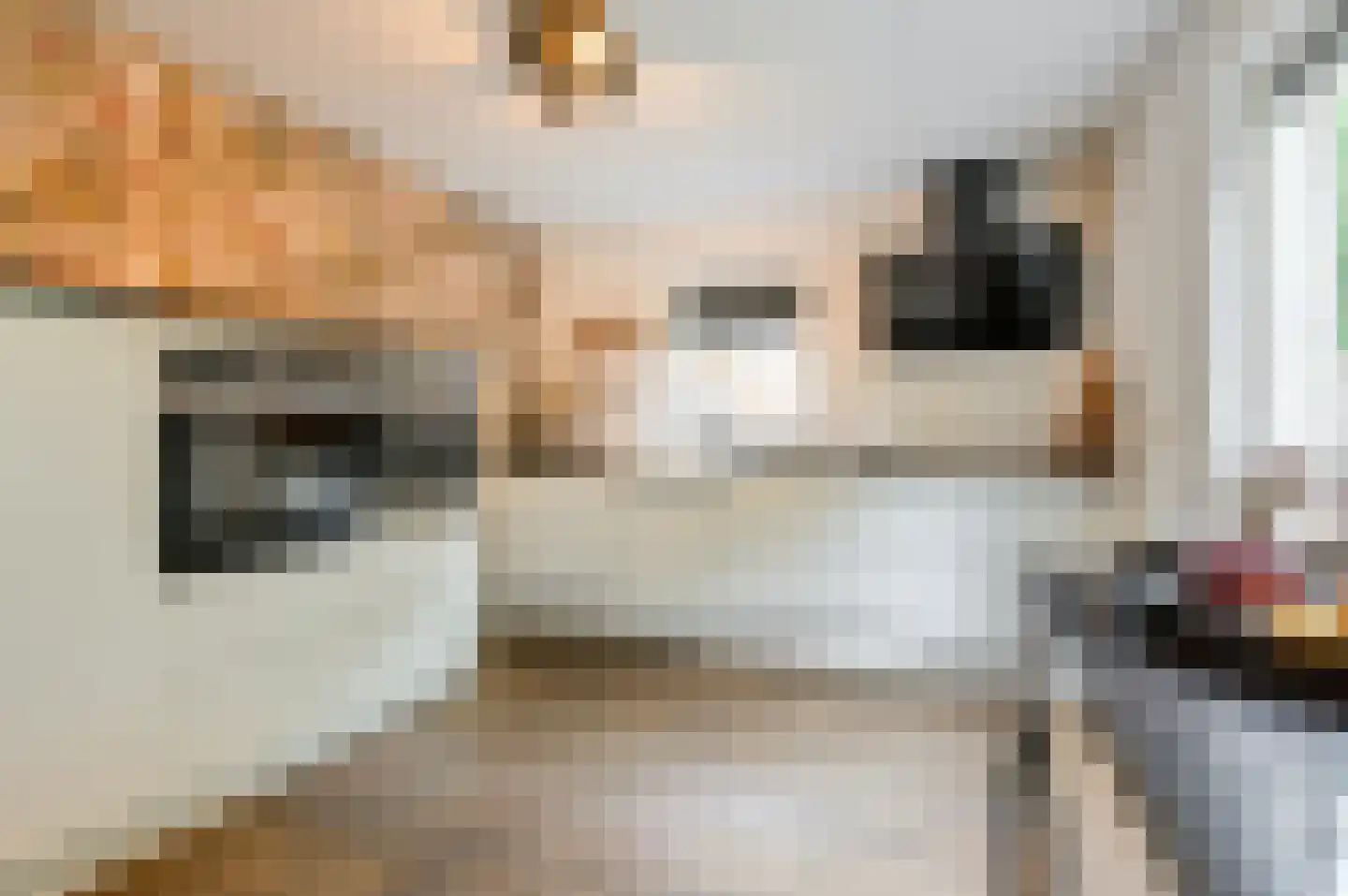 Het Zichtbord 20 Swifterbant thumbnail 13