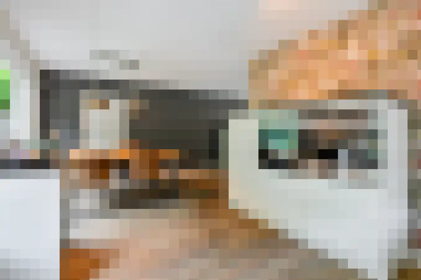 Het Zichtbord 20 Swifterbant thumbnail 14