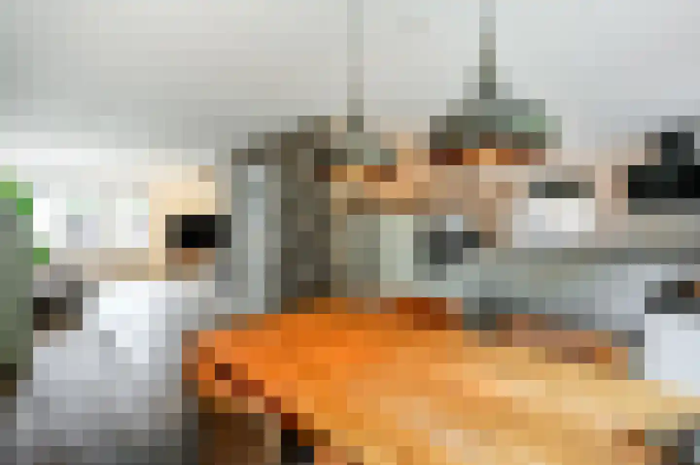 Het Zichtbord 20 Swifterbant thumbnail 17