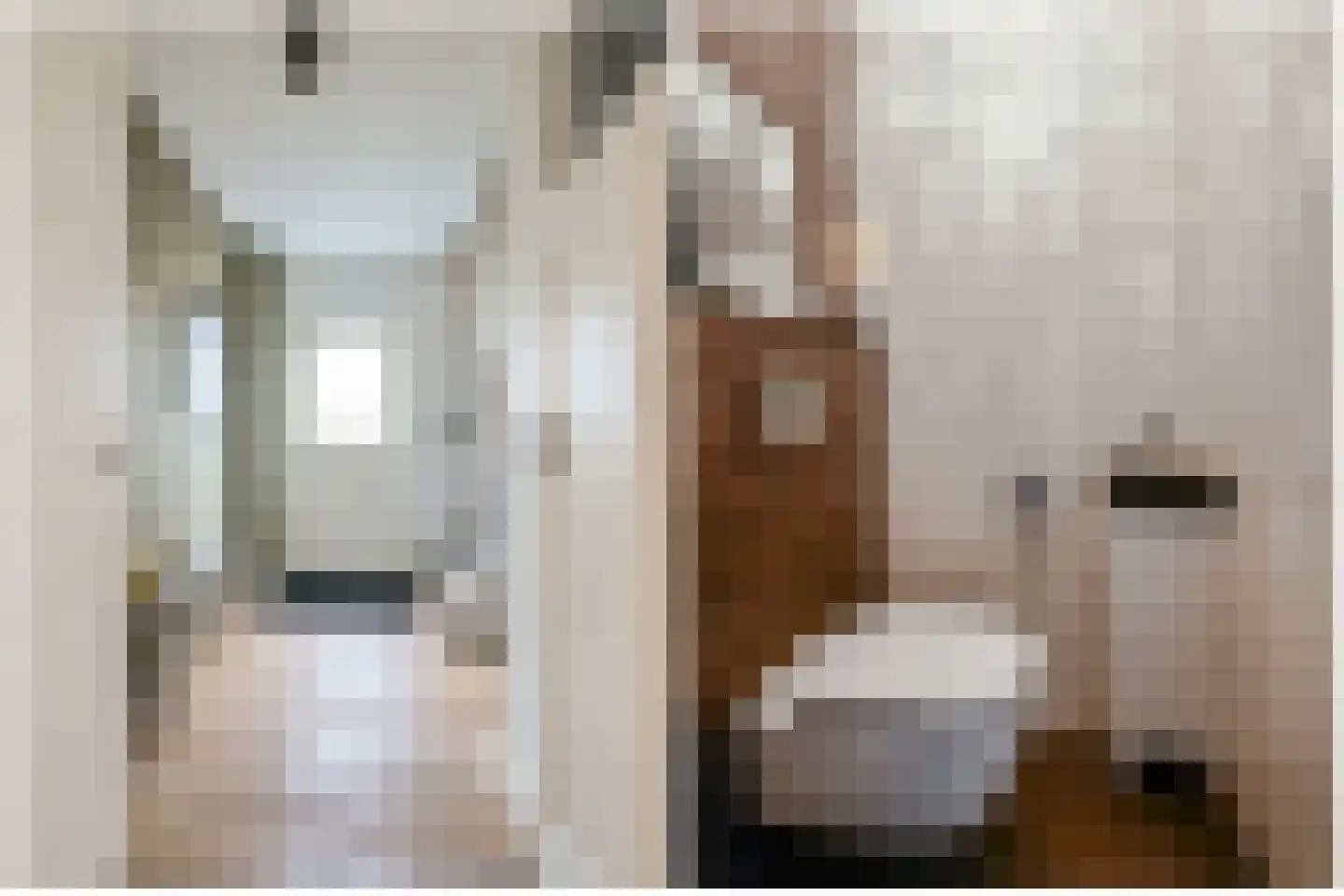 Het Zichtbord 20 Swifterbant thumbnail 22