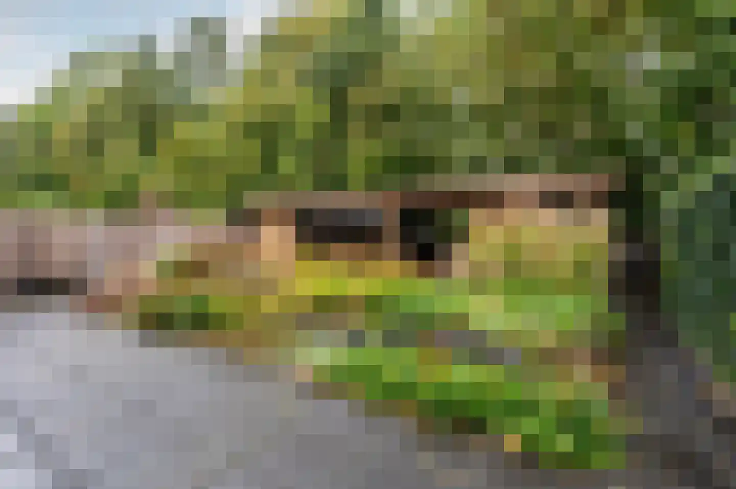 Het Zichtbord 20 Swifterbant thumbnail 35