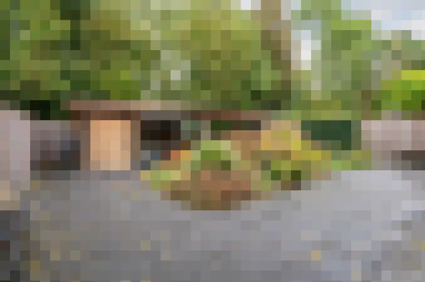 Het Zichtbord 20 Swifterbant thumbnail 36