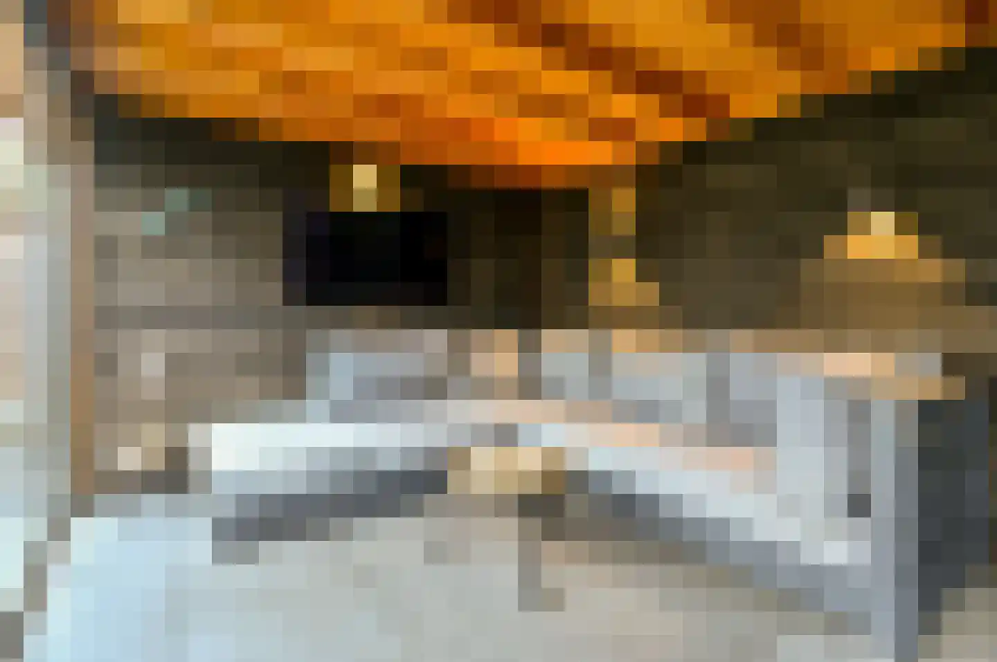 Het Zichtbord 20 Swifterbant thumbnail 38