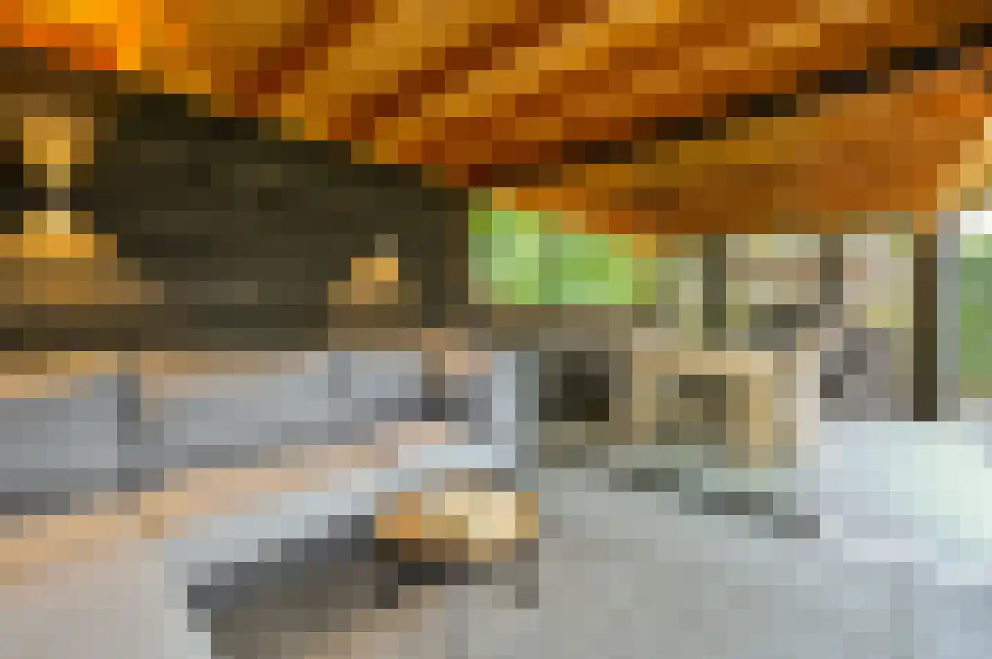 Het Zichtbord 20 Swifterbant thumbnail 39