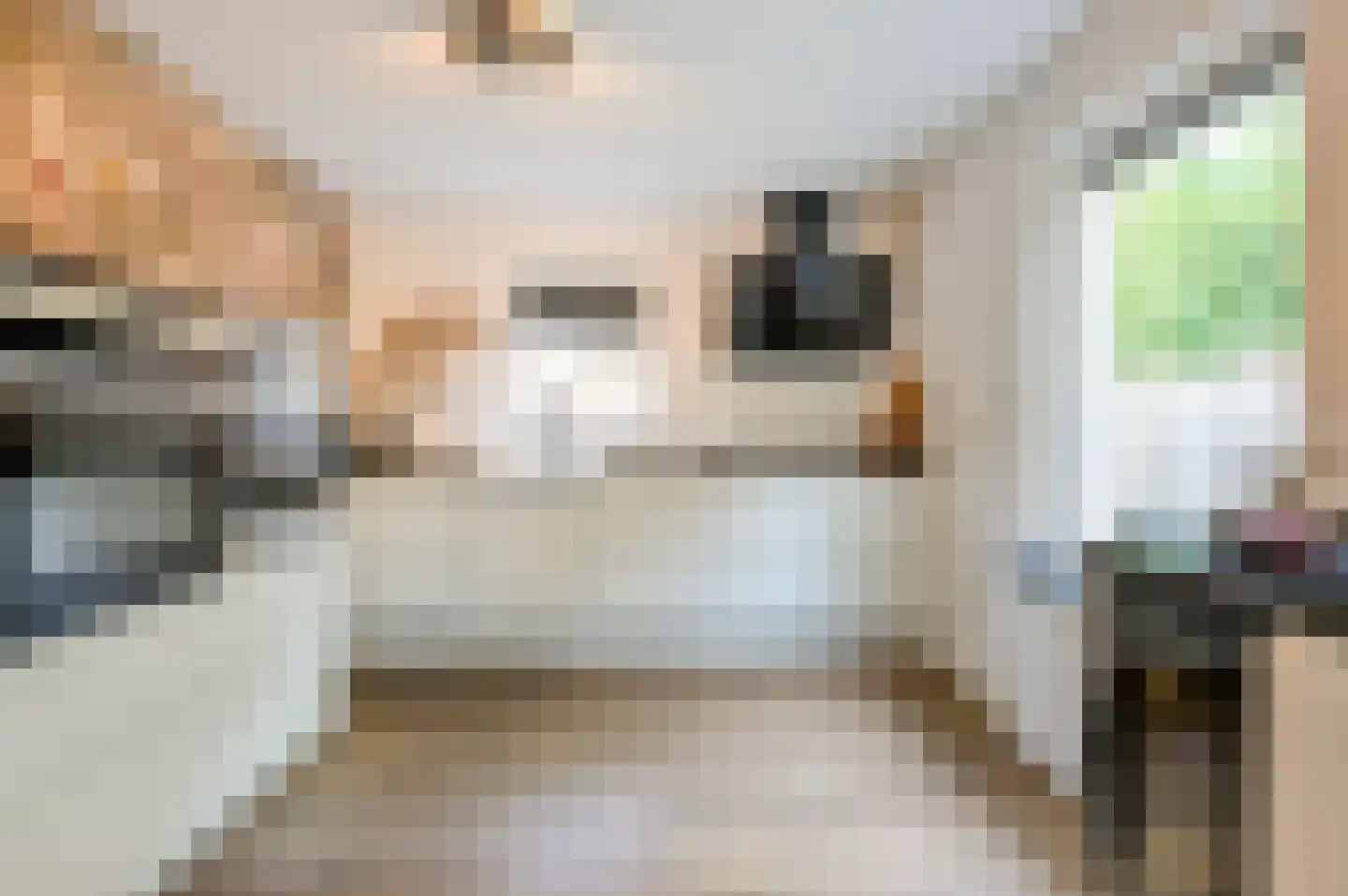 Het Zichtbord 20 Swifterbant thumbnail 4