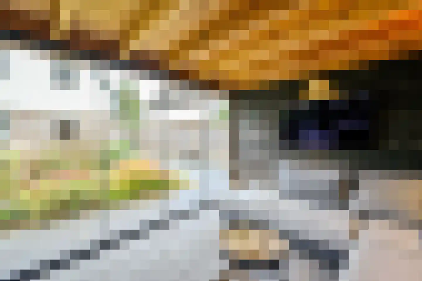 Het Zichtbord 20 Swifterbant thumbnail 40