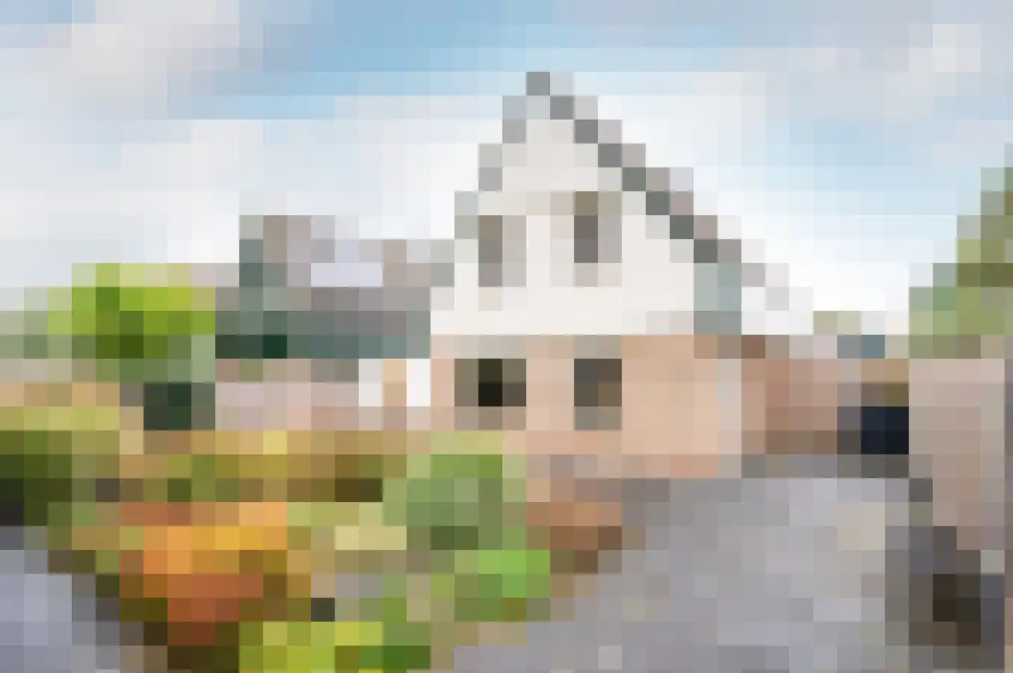 Het Zichtbord 20 Swifterbant thumbnail 43