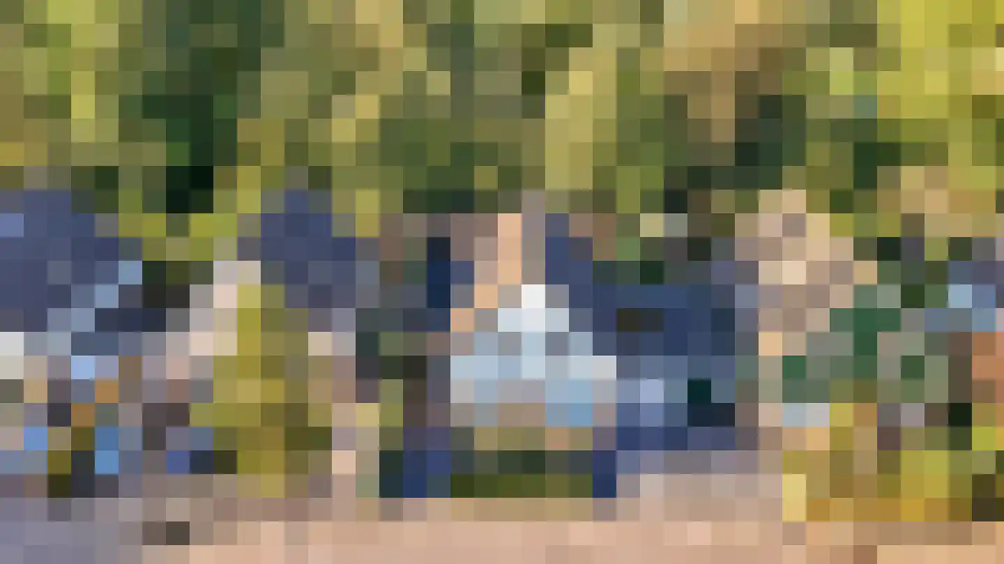 Het Zichtbord 20 Swifterbant thumbnail 55