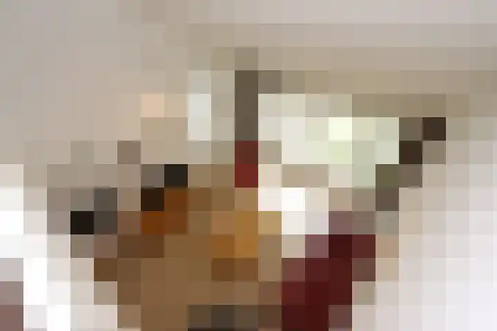 Het Zichtbord 4 Swifterbant thumbnail 13