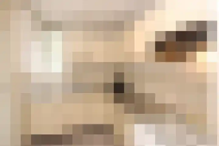 Het Zichtbord 4 Swifterbant thumbnail 14