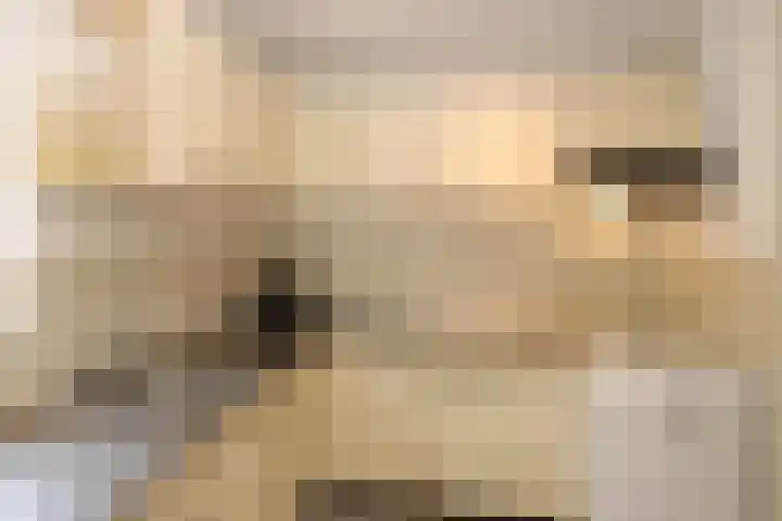 Het Zichtbord 4 Swifterbant thumbnail 15