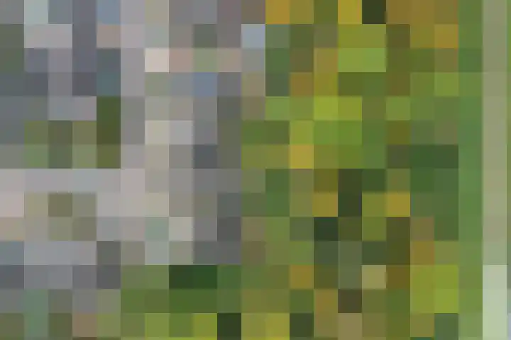 Het Zichtbord 4 Swifterbant thumbnail 33