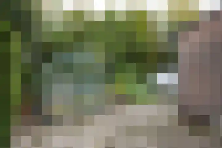 Het Zichtbord 4 Swifterbant thumbnail 34