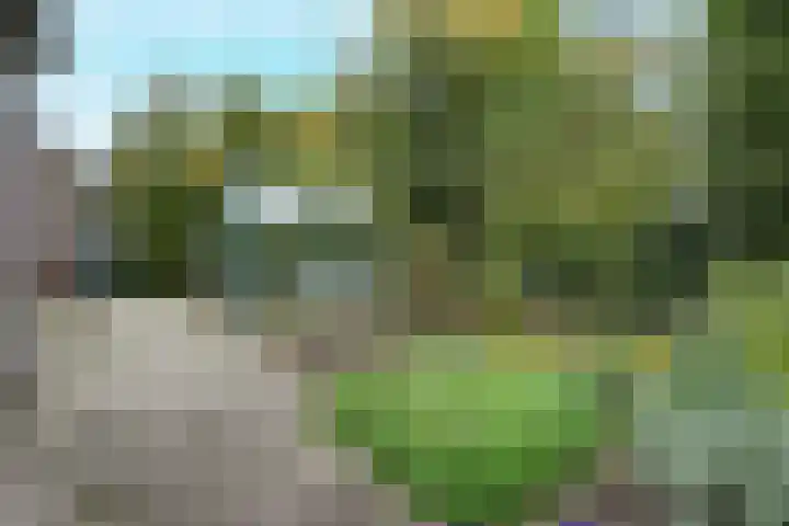 Het Zichtbord 4 Swifterbant thumbnail 35