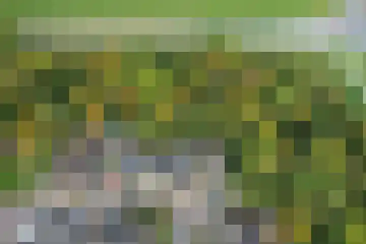 Het Zichtbord 4 Swifterbant thumbnail 37