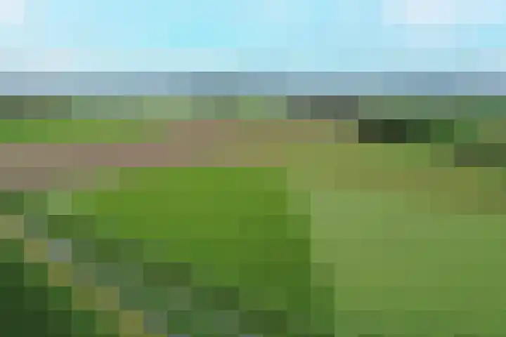 Het Zichtbord 4 Swifterbant thumbnail 38