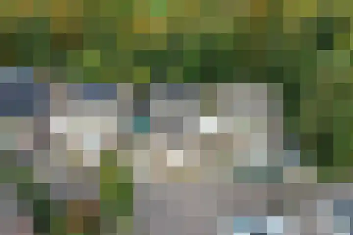 Het Zichtbord 4 Swifterbant thumbnail 4
