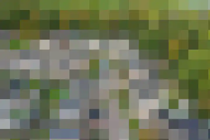 Het Zichtbord 4 Swifterbant thumbnail 6
