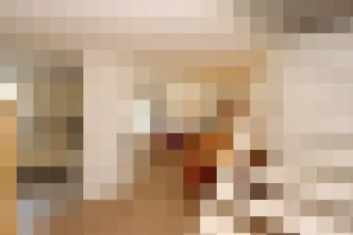 Het Zichtbord 4 Swifterbant thumbnail 8