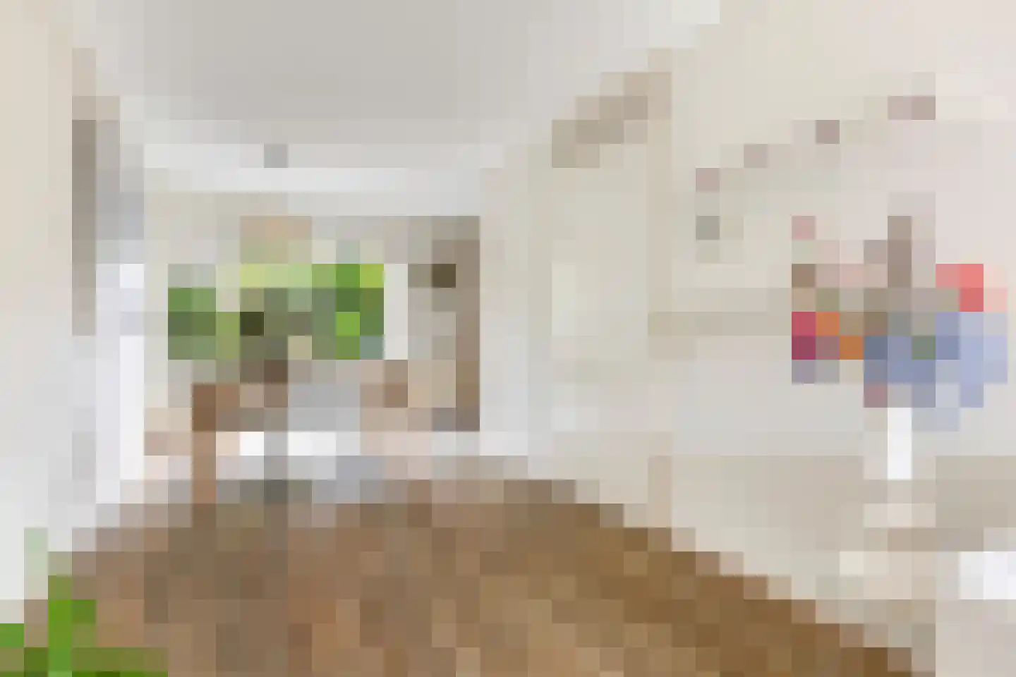 Het Zool 11 Leeuwarden thumbnail 12