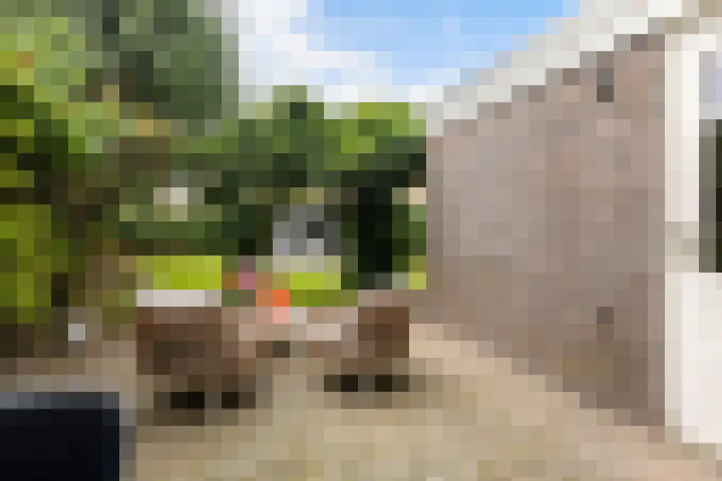 Het Zool 11 Leeuwarden thumbnail 20