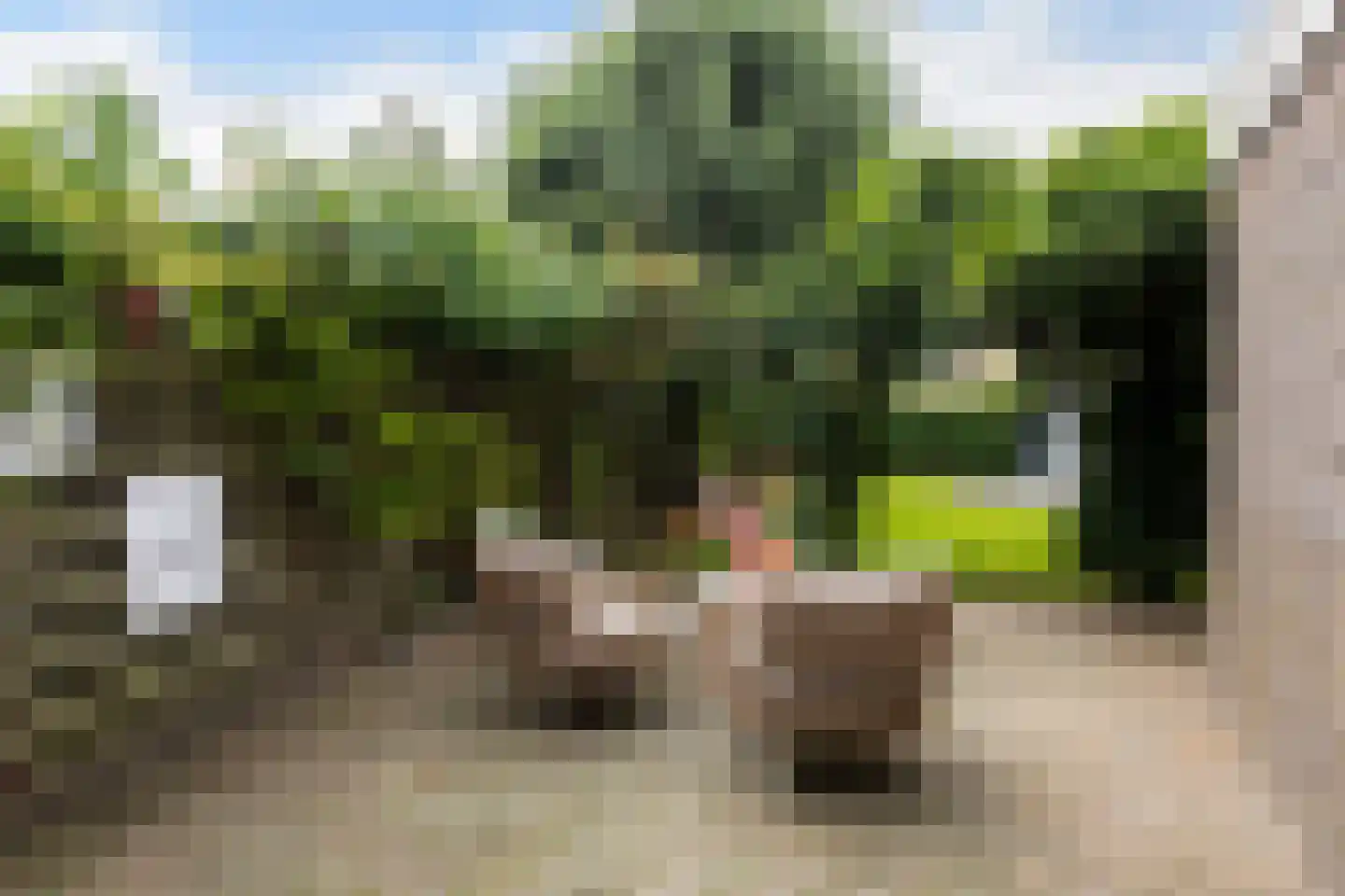 Het Zool 11 Leeuwarden thumbnail 21