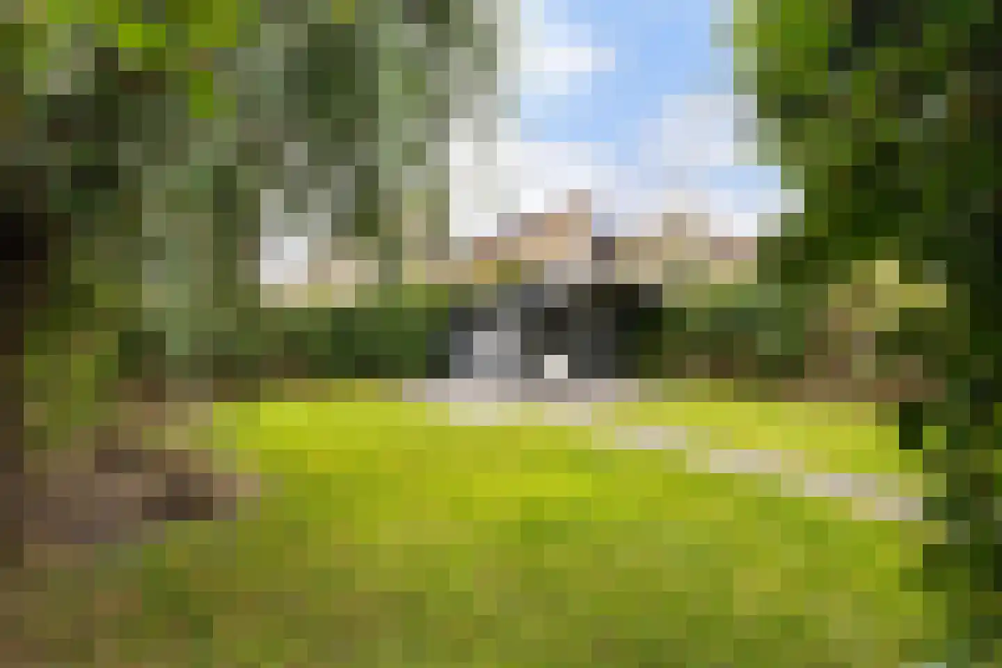Het Zool 11 Leeuwarden thumbnail 23
