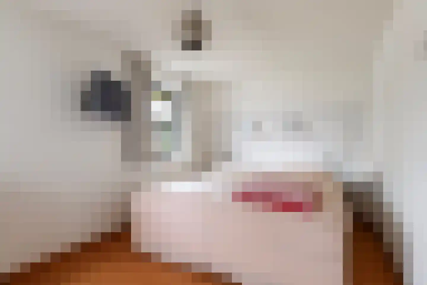 Het Zool 11 Leeuwarden thumbnail 32
