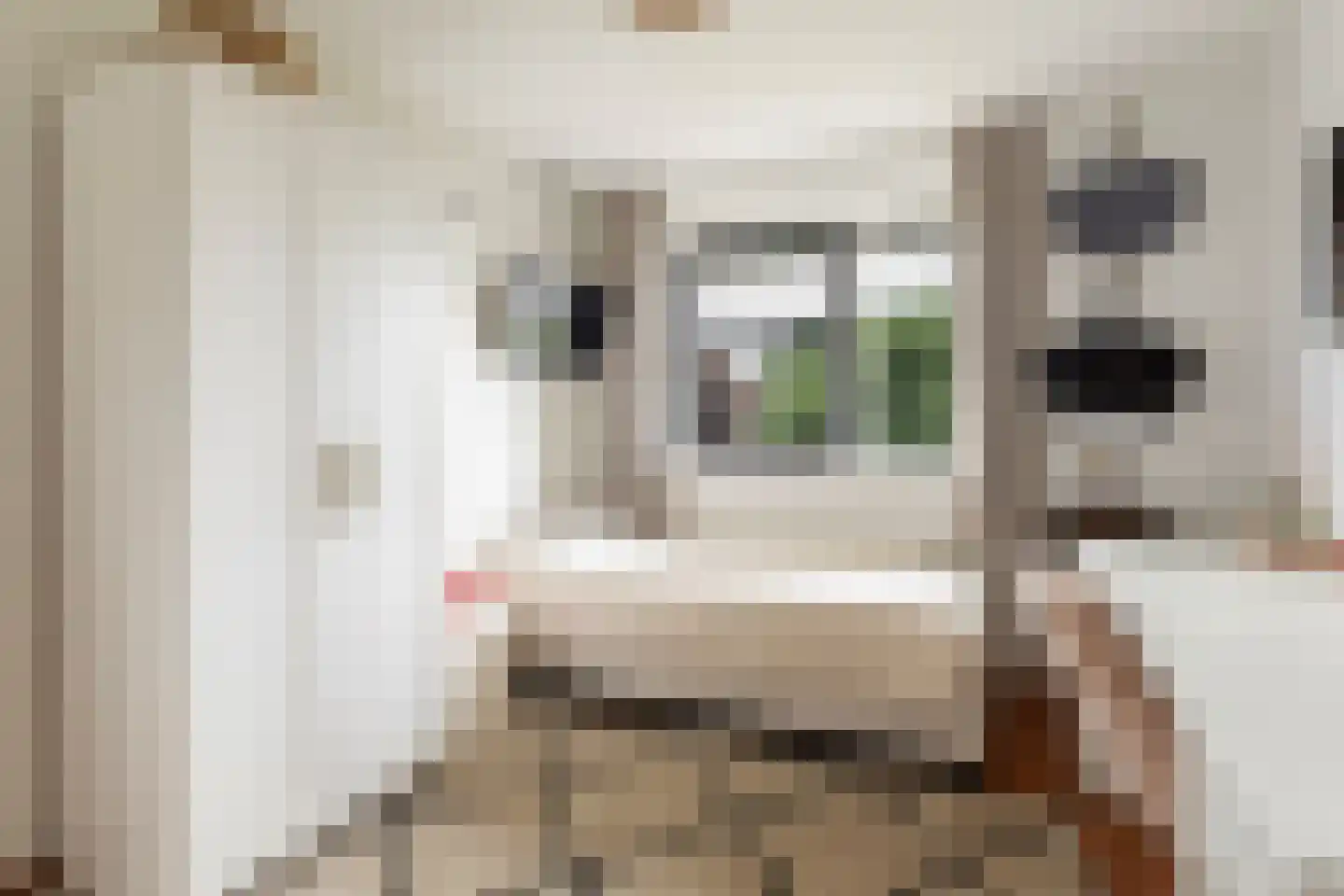 Het Zool 11 Leeuwarden thumbnail 34