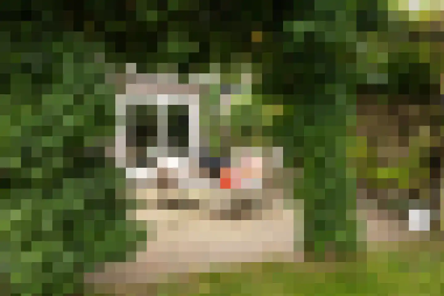 Het Zool 11 Leeuwarden thumbnail 4
