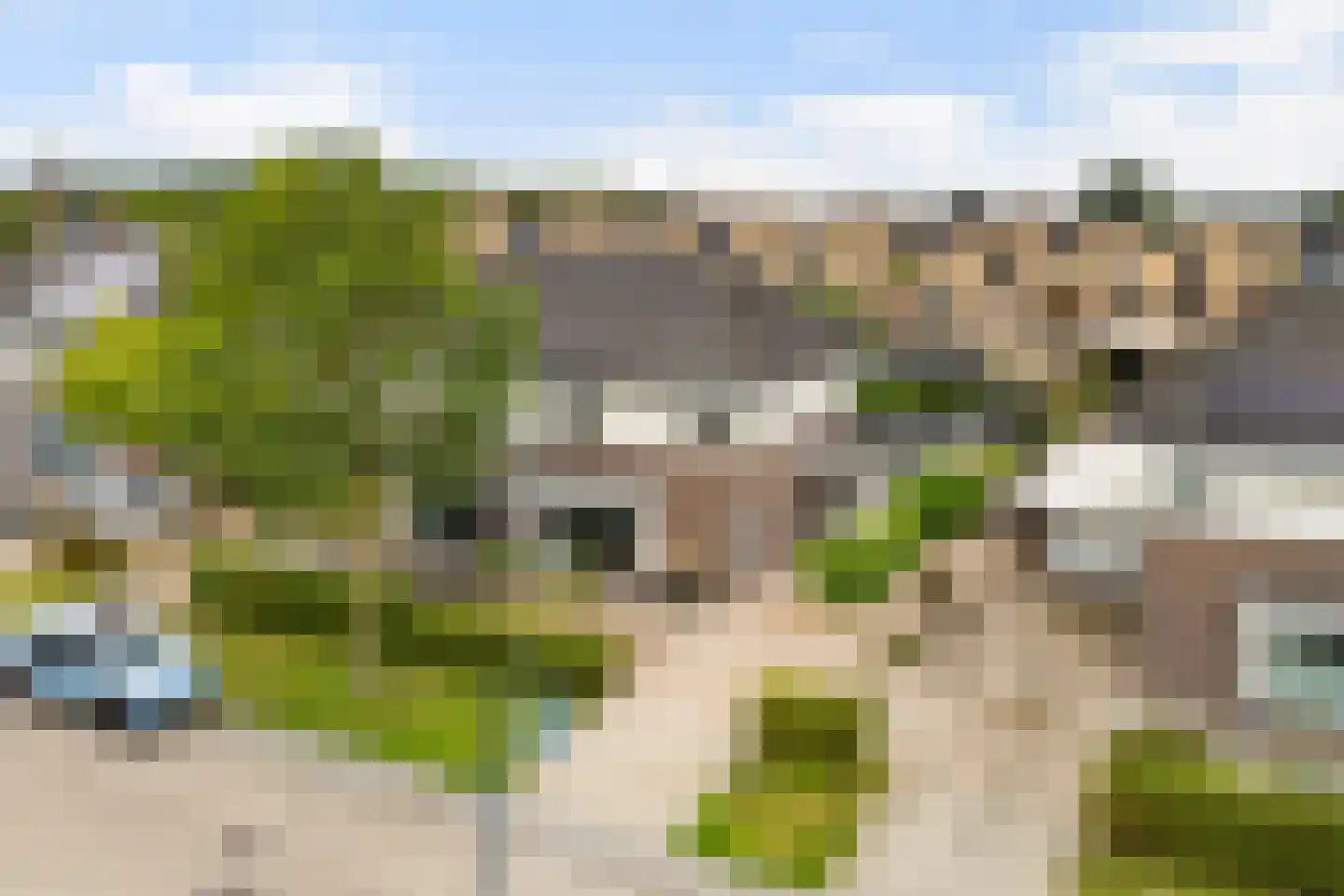 Het Zool 11 Leeuwarden thumbnail 44