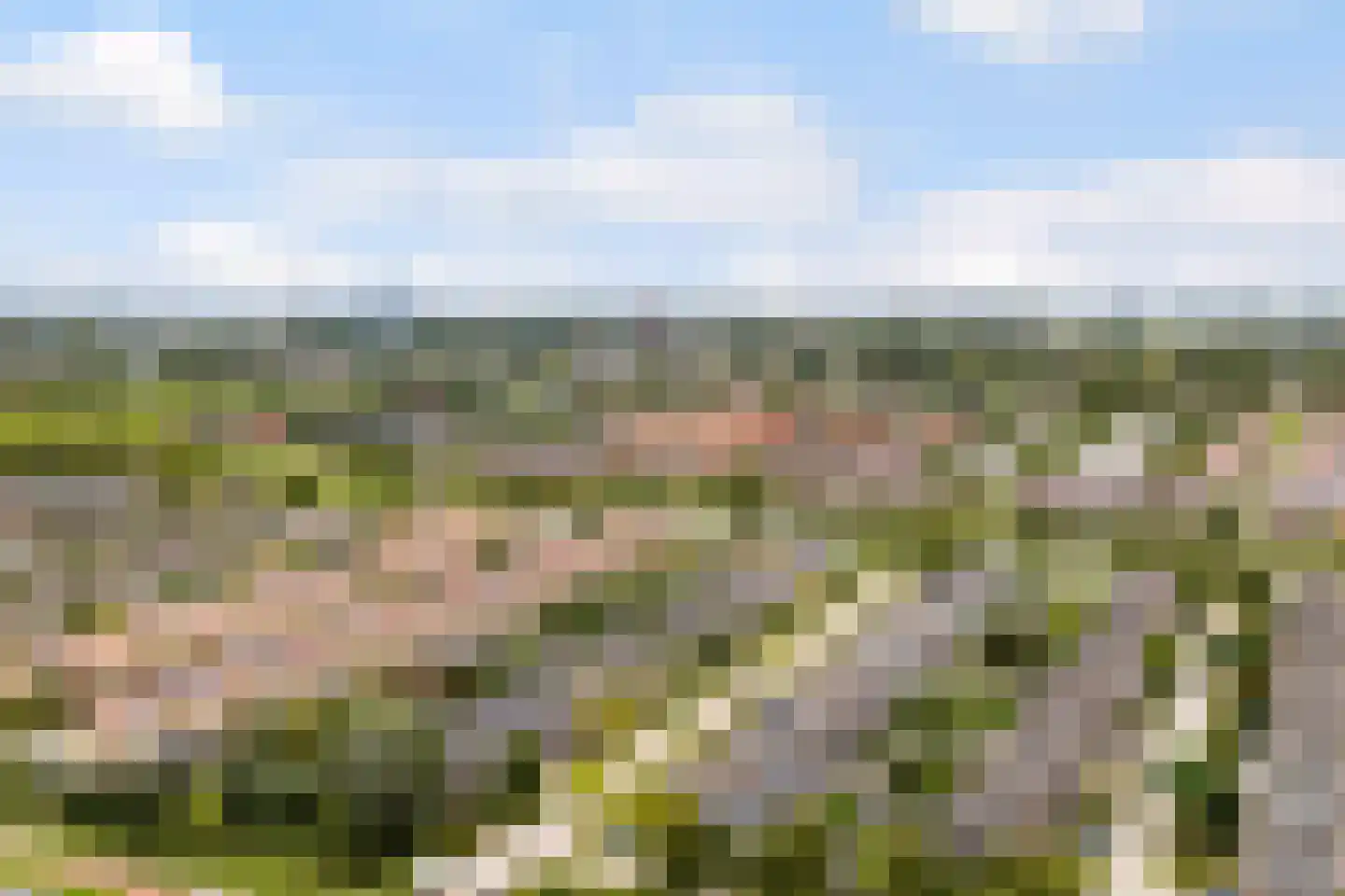 Het Zool 11 Leeuwarden thumbnail 48