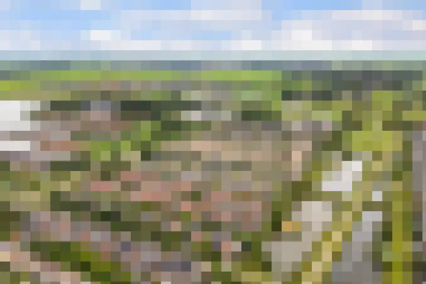 Het Zool 11 Leeuwarden thumbnail 49