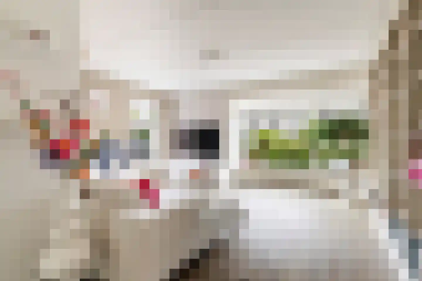 Het Zool 11 Leeuwarden thumbnail 5