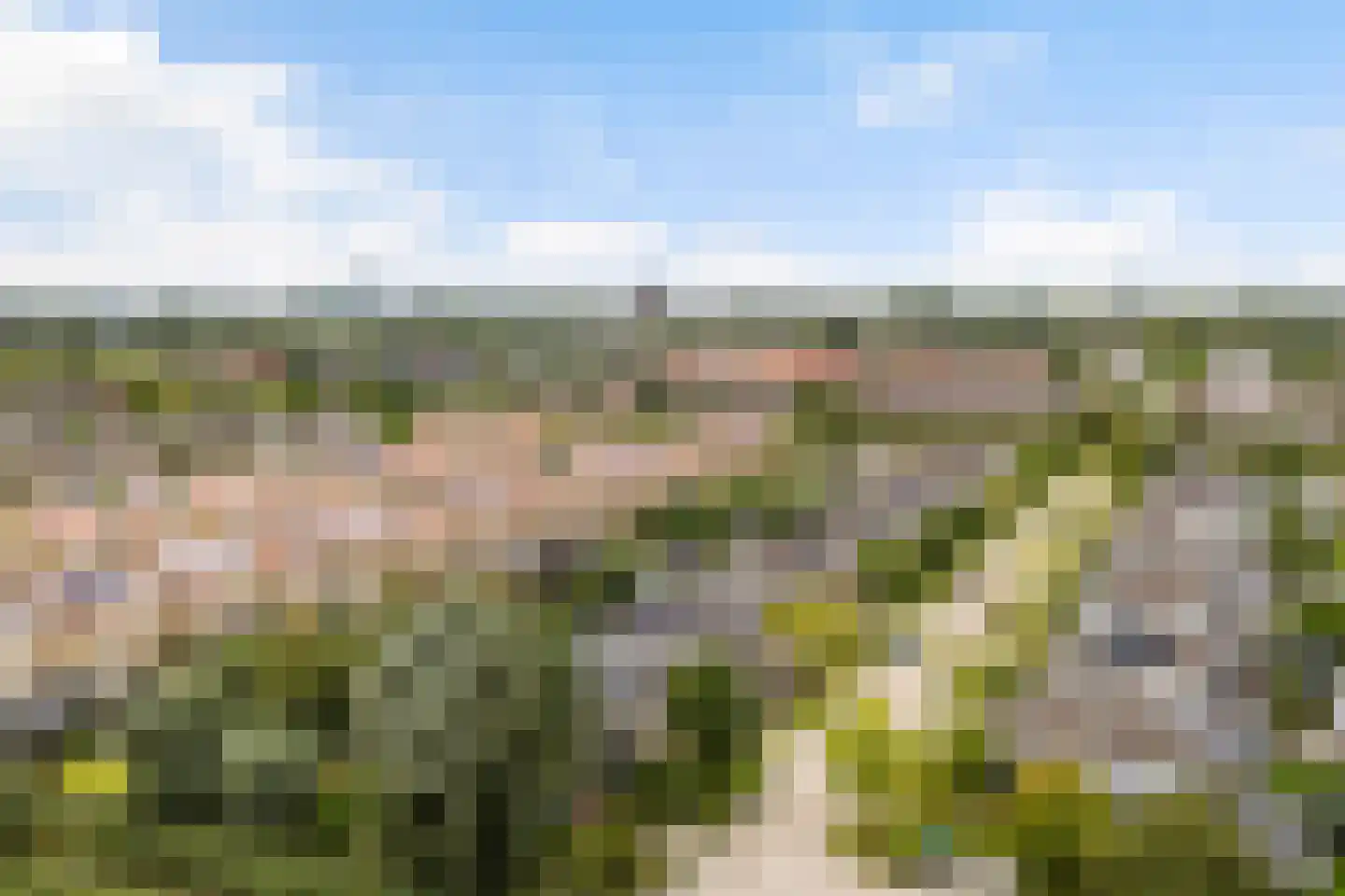 Het Zool 11 Leeuwarden thumbnail 50