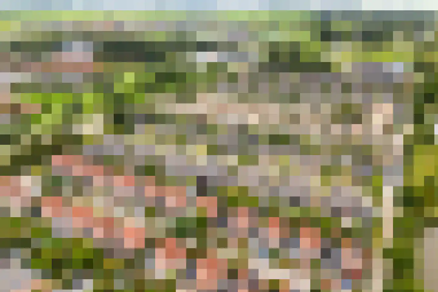 Het Zool 11 Leeuwarden thumbnail 51