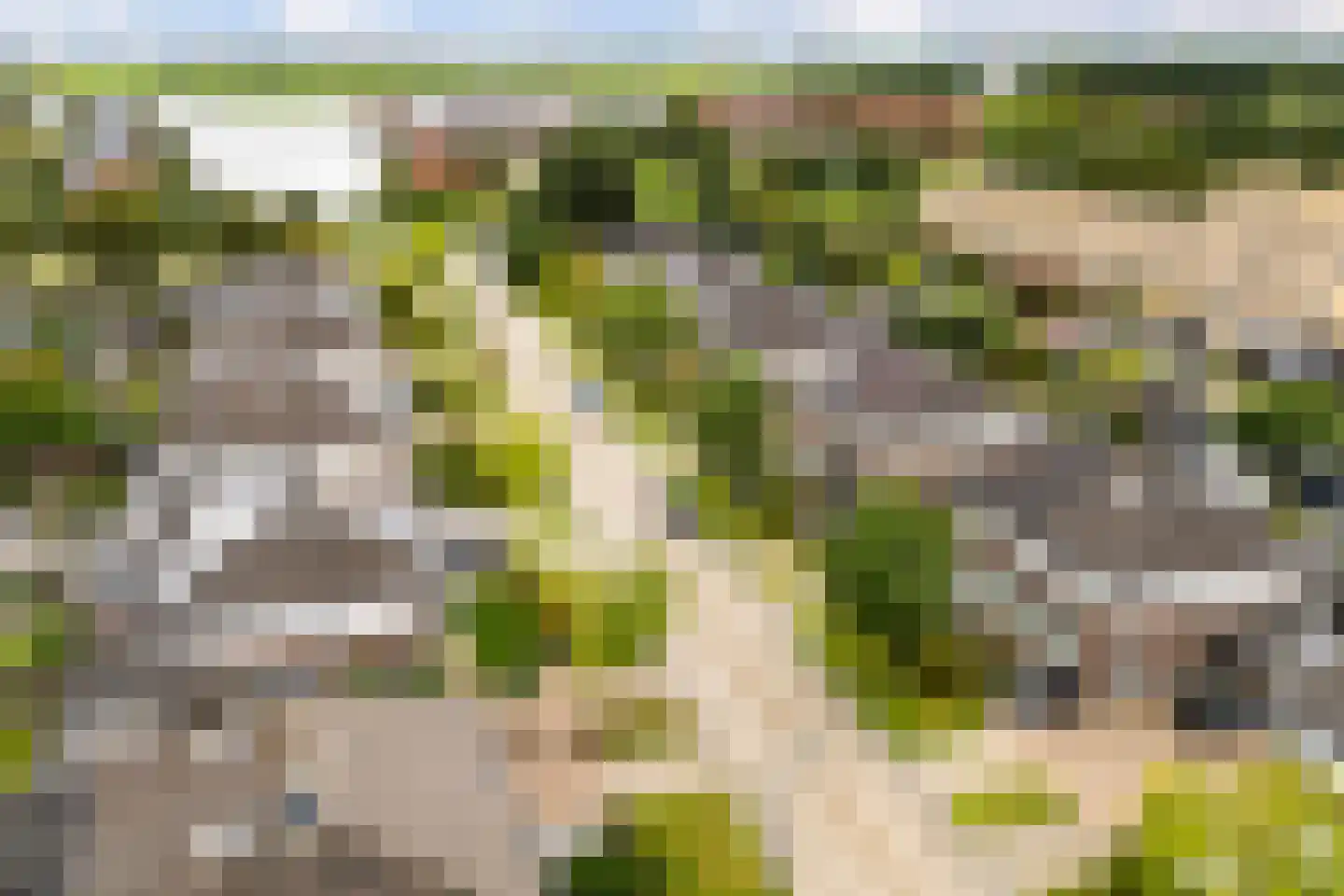 Het Zool 11 Leeuwarden thumbnail 52