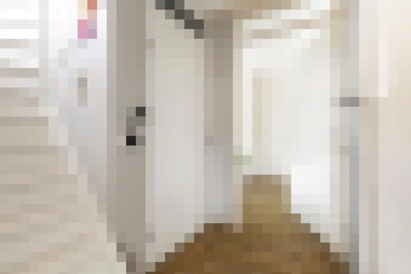 Het Zool 11 Leeuwarden thumbnail 7