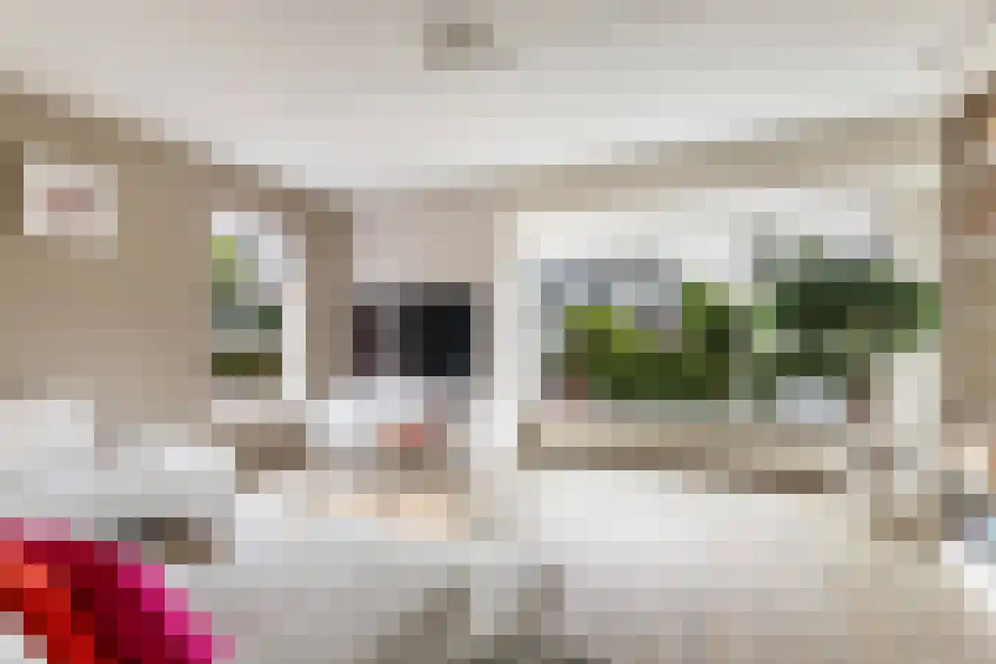 Het Zool 11 Leeuwarden thumbnail 9