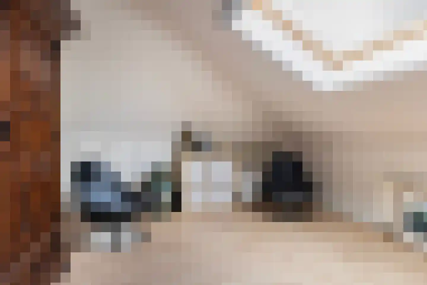 Het Zool 13 Leeuwarden thumbnail 24