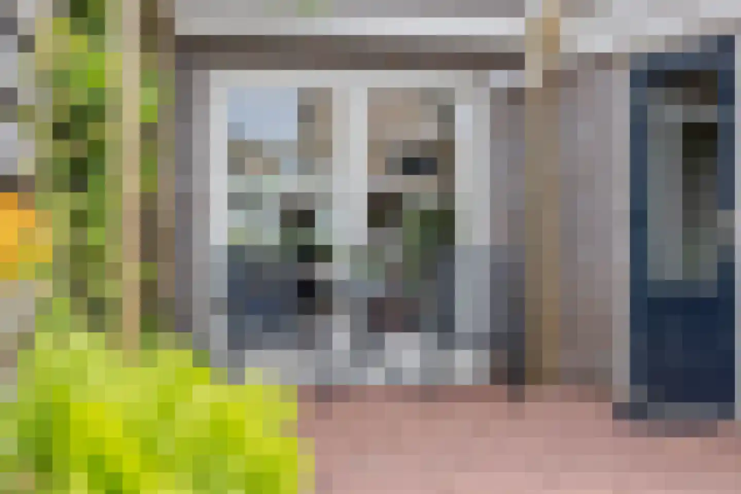 Het Zool 13 Leeuwarden thumbnail 27